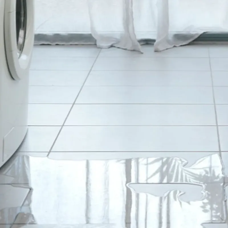 Appliance Leak Cleanup in Escambia County, AL