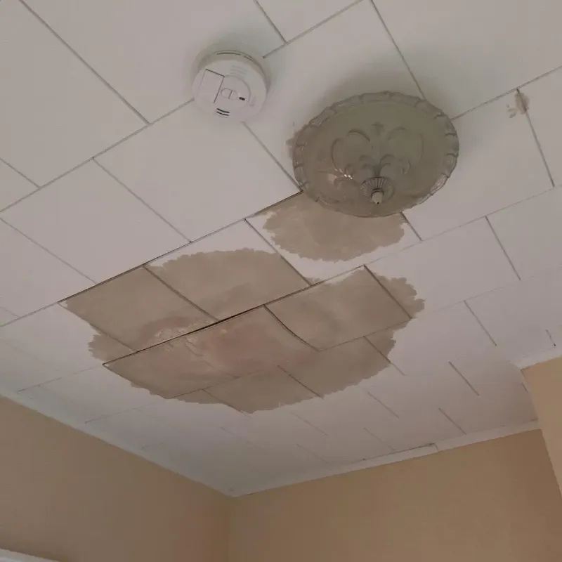 Ceiling Water Damage Repair in Escambia County, AL